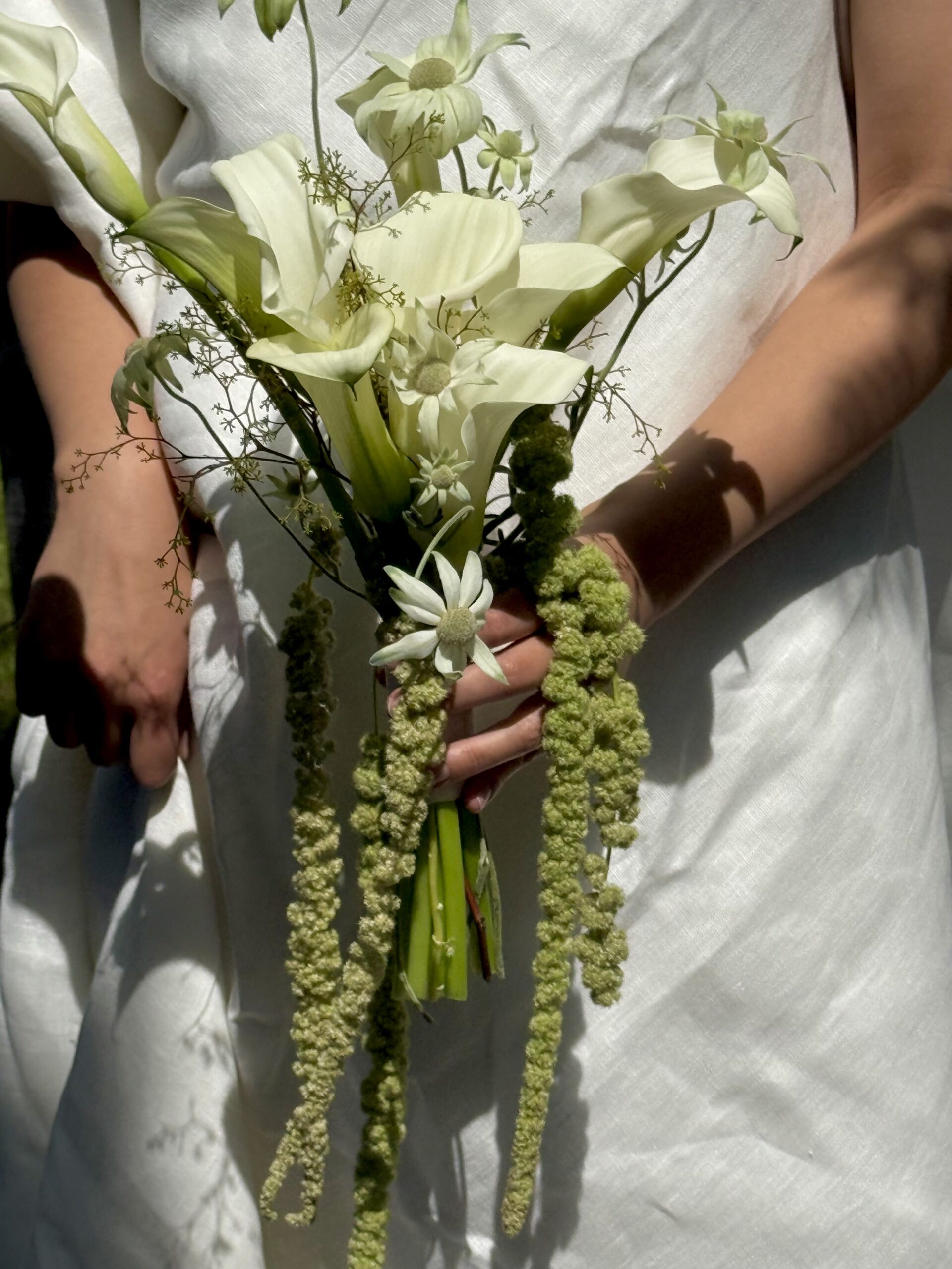 Calla Lily - Image 2