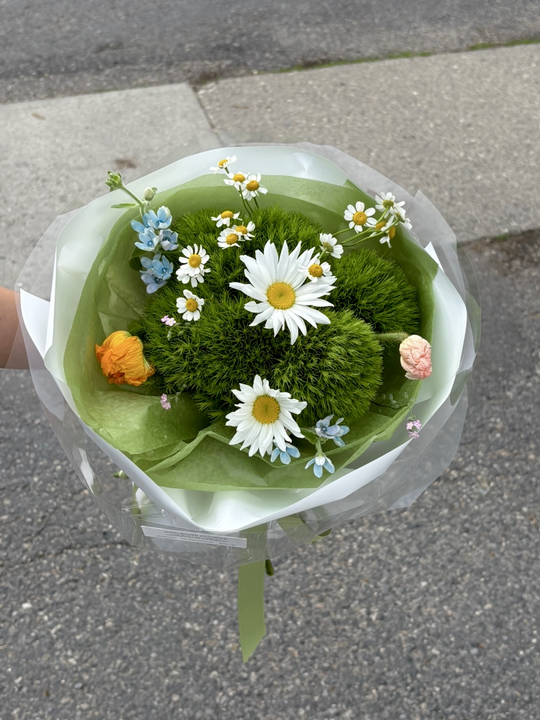 Petit Meadow - Image 3